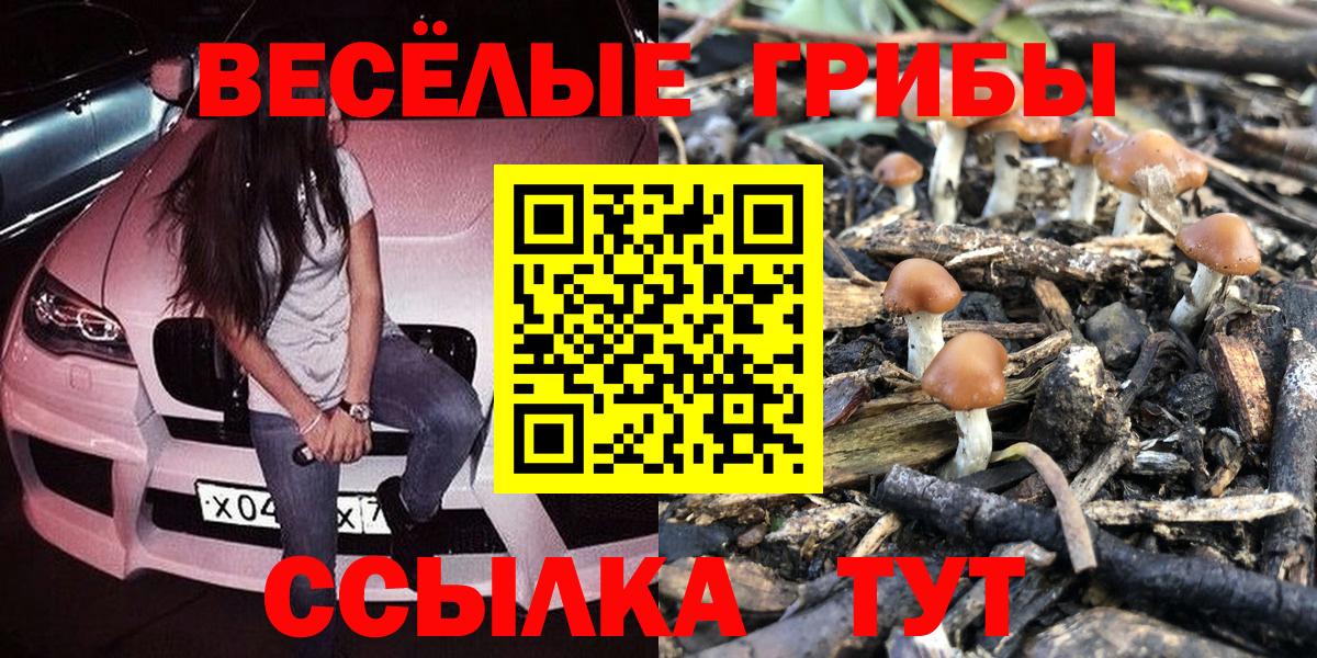 Псилоцибиновые грибы GOLDEN TEACHER  Галлюциногенные грибы ЛСД  Усолье-Сибирское  Вход с VPN 